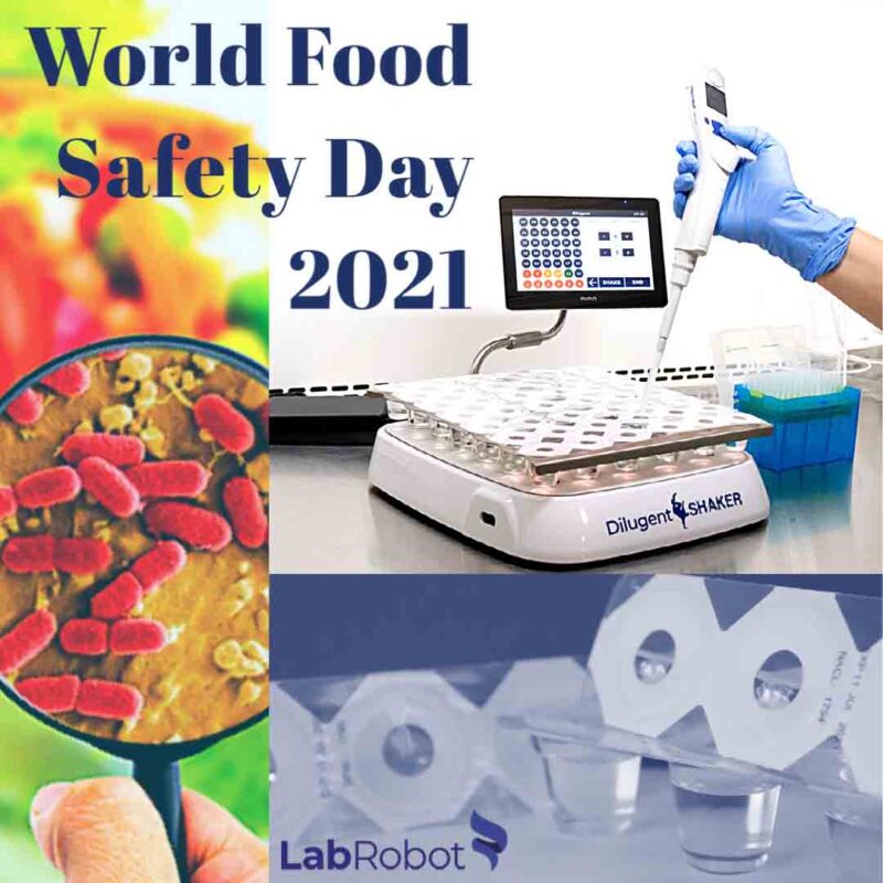 world food safety day dilucup