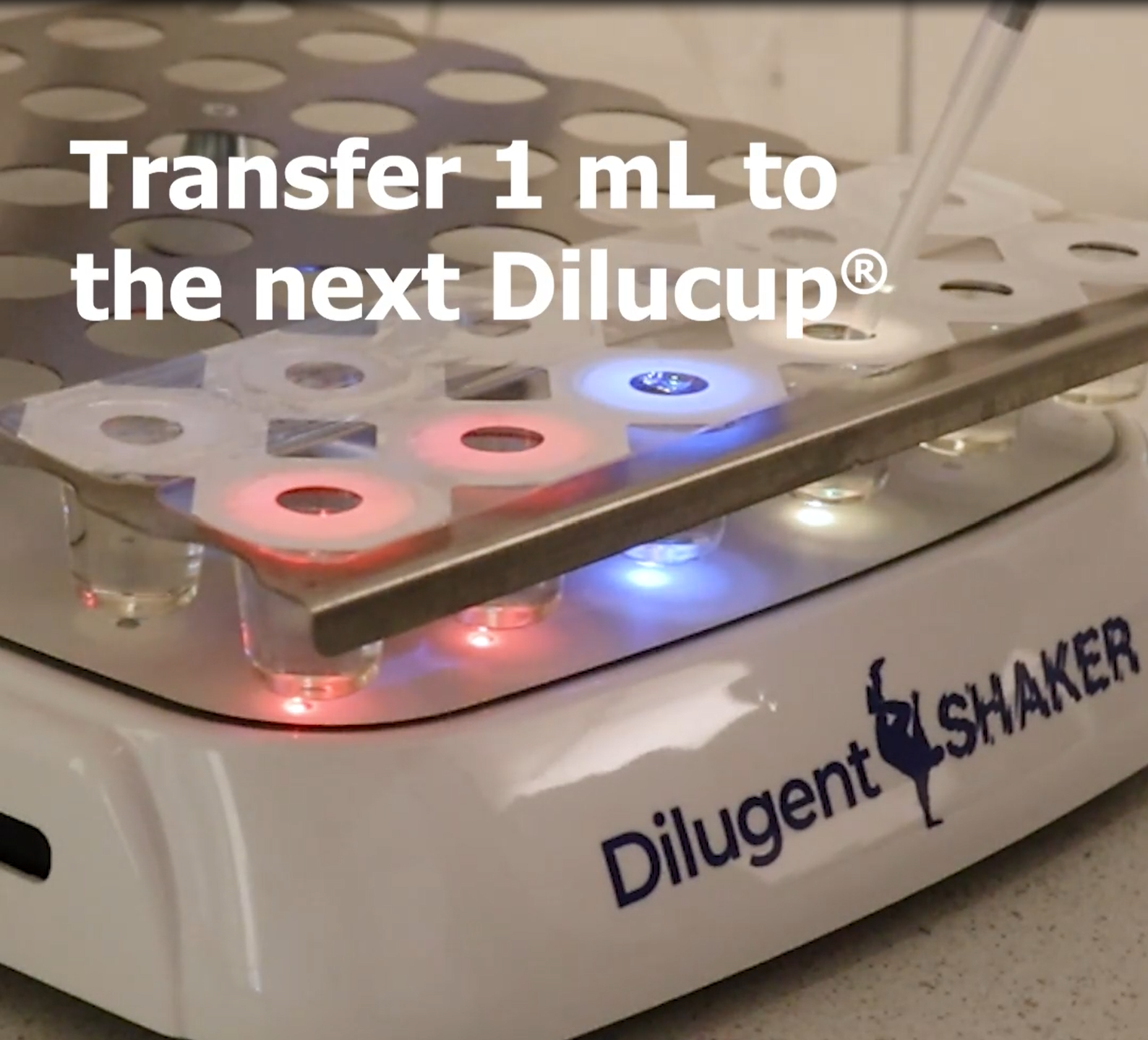 ransfer 1ml to next Dilucup enumrations